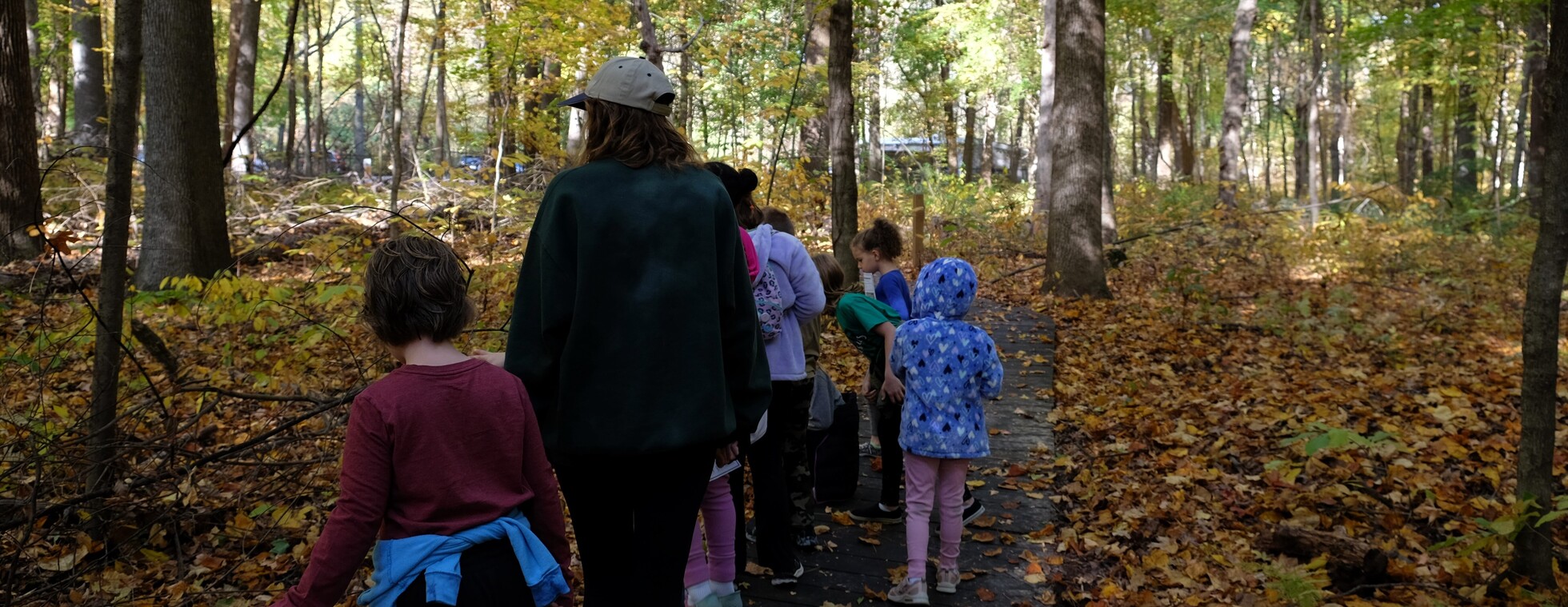 Junior Forest League || 2025-26